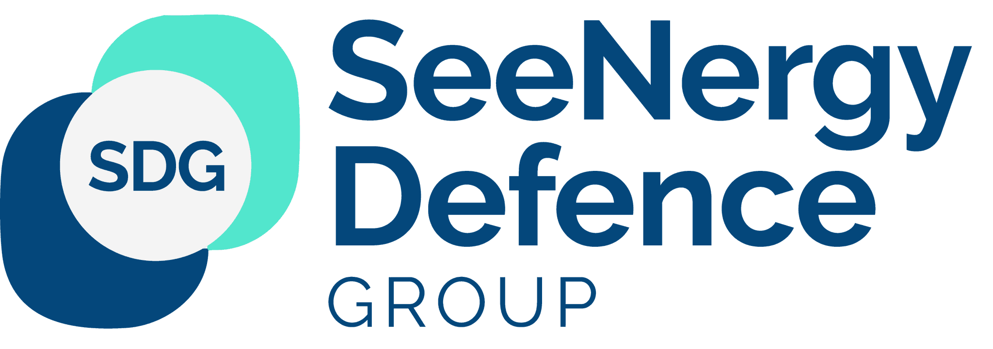 SeeNergy Defence Group